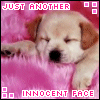 willow's Avatar